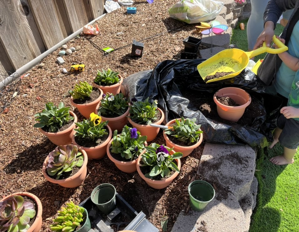 Little Star Daycare - Image 11